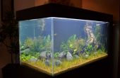 Construir un acuario que se ve bien en cualquier sala de estar